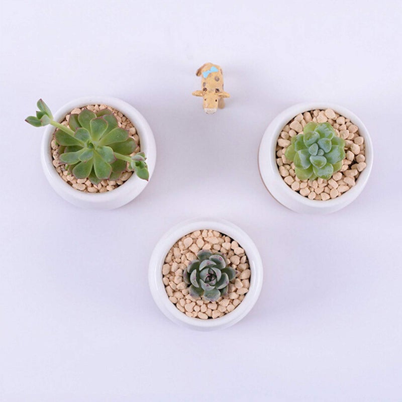 Brajttt Succluent Pots ï¼ŒSmall Flower Pots Planter Pots with Drinage,Ceramic Flowers Pots with Bamboo Tray for Cactus(12 Pack - Image 5